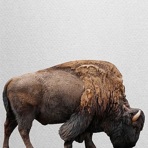 Grazer Minimalist Print