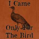 Turkey Bird Art Print
