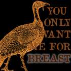 Turkey Breast Art Print