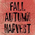 Seasons Art Print