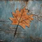 Autumn Leaf Art Print