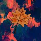 Autumn Leaf Colors Art Print