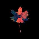 Autumn Leaf Colors 3 Art Print