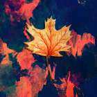 Autumn Leaf Colors 4 Art Print