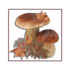 Fall Mushroom 2 Art Print