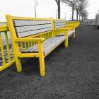Central Park Bench Art Print
