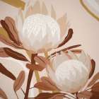 Autumnal Australis Art Print