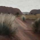 Bushland Beauty Art Print