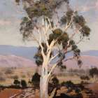 Dreaming of Down Under Art Print
