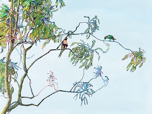 Coolibah Art Print
