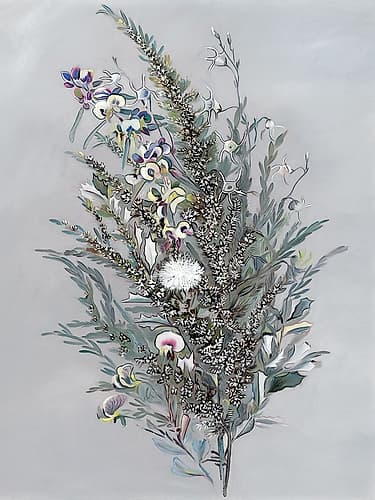 Grevillea Art Print