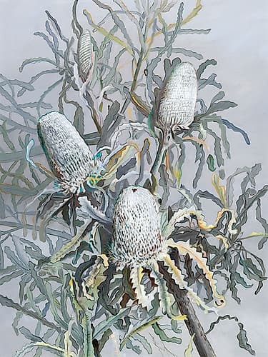 Banksia Art Print