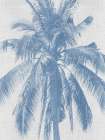 Denim Palms I Poster Art Print