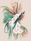 Parrot Oasis Poster Art Print