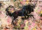 Floral Stallion II Art Print
