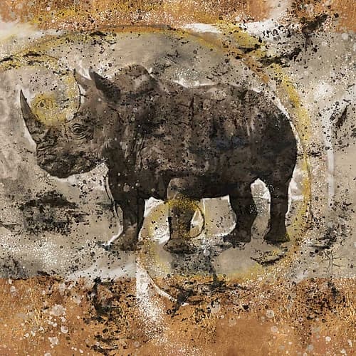 Fibonacci Rhino I Art Print by Marta Wiley