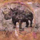 Fibonacci Sepia Rhino Art Print