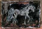 White Horse Art Print