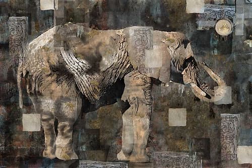 Elephant Art Print by Marta Wiley