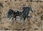 Crackle Horse Black Art Print