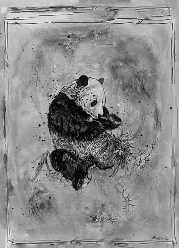 Panda Black and White Art Print by Marta Wiley