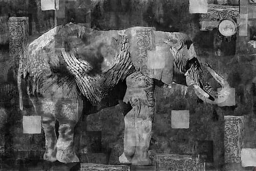 Elephant Collage Dark Art Print by Marta Wiley