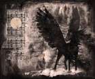 Black Pegasus Sepia Art Print