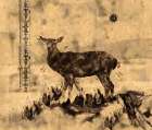 Deer Art Print