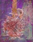 Temple dancer purple pink Art Print