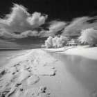 Infrared Beach I Art Print