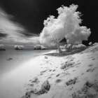 Infrared Beach II Art Print