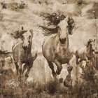 Horse Photo Collage Art Print