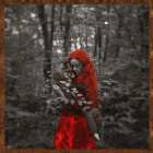 Enchanted IIII Art Print