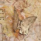 Paper collage II Art Print
