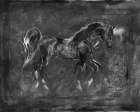 Black And white horse Art Print