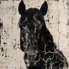 Horse Crackle I Art Print