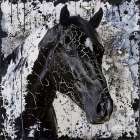 Horse Crackle V Art Print