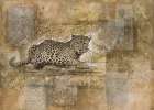 Lepard I Art Print