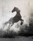 Stallion Seragraph I Art Print