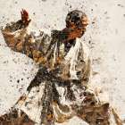 Tai Chi II Art Print