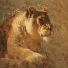 Lion III Art Print