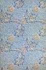 Apple Wallpaper 1877 Art Print