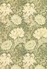 Chrysanthemum pattern 1877