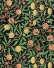 Fruit Pattern 1862 Art Print
