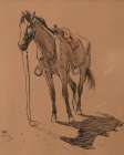 Cow Pony 1929