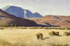 Desert Hills 1935 Art Print