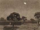 Desert Moon Art Print