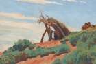 Navajo Sun Shelter 1922 Art Print