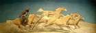 Palomino Ponies 1942 Art Print