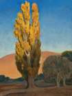 Shifting Light on a Poplar 1930 Art Print